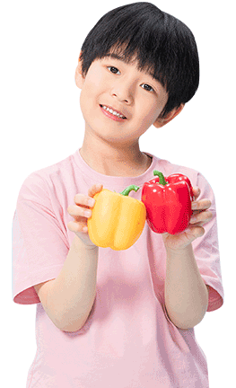 积木课程简介