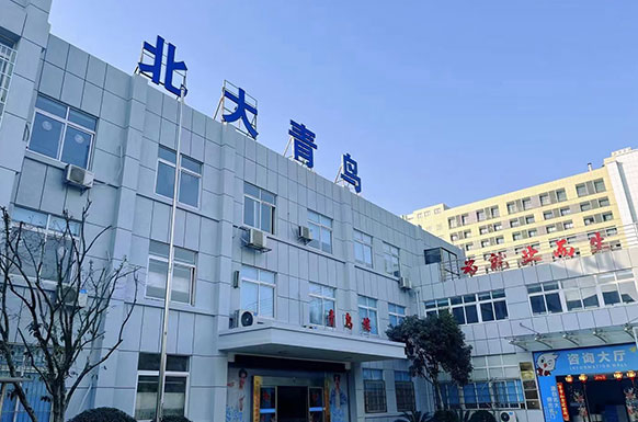 内景