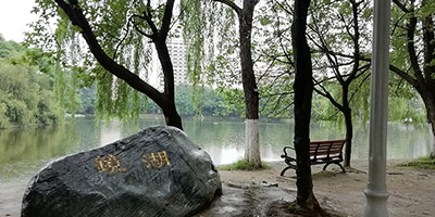 周围环境