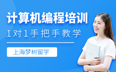 上海计算机编程培训