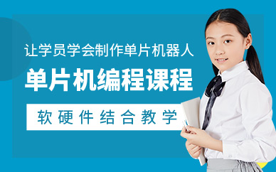 南京乐博乐博单片机编程培训