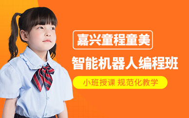 嘉兴童程童美智能机器人编程培训