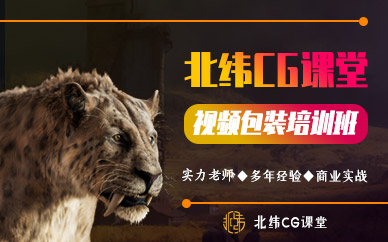 成都北纬互娱视频包装培训