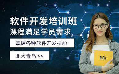 软件开发培训