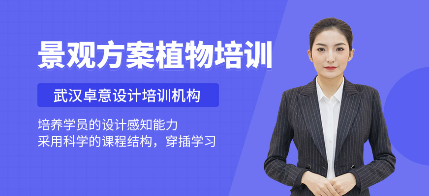 景观方案植物培训班