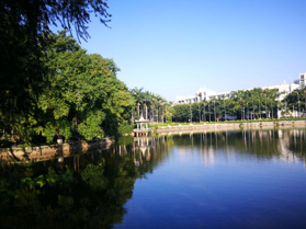 学校湖边