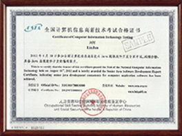 Java高级软件开发专家证书