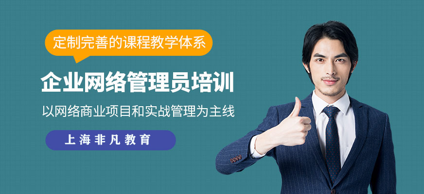 企业网络管理员