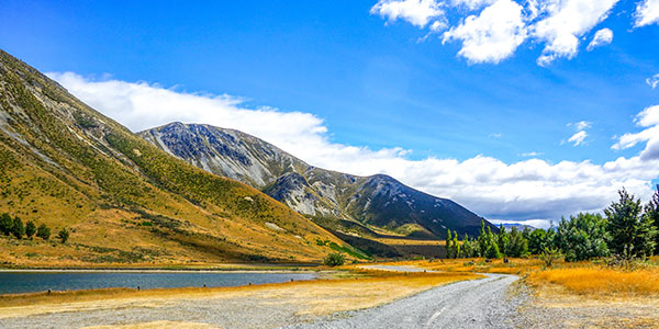 新西兰公路风景