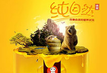 直通车设计